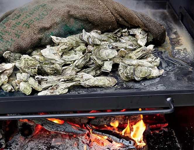 How to Roast Oysters at Home