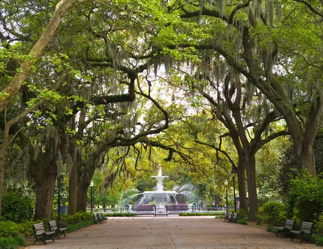 22 Best Things to Do in Savannah, Georgia, According to Locals