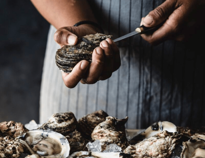All Your Oyster Questions, Answered